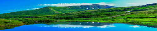 v̖{I덷EELӍ̐^ywERzYmAIްݽuz