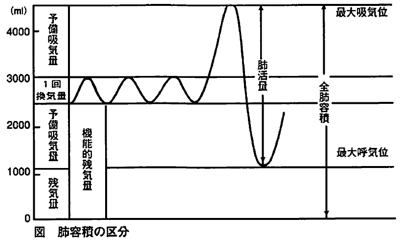 ċzƃf[^͂ŕRێ̔閧yChatGPTv́z